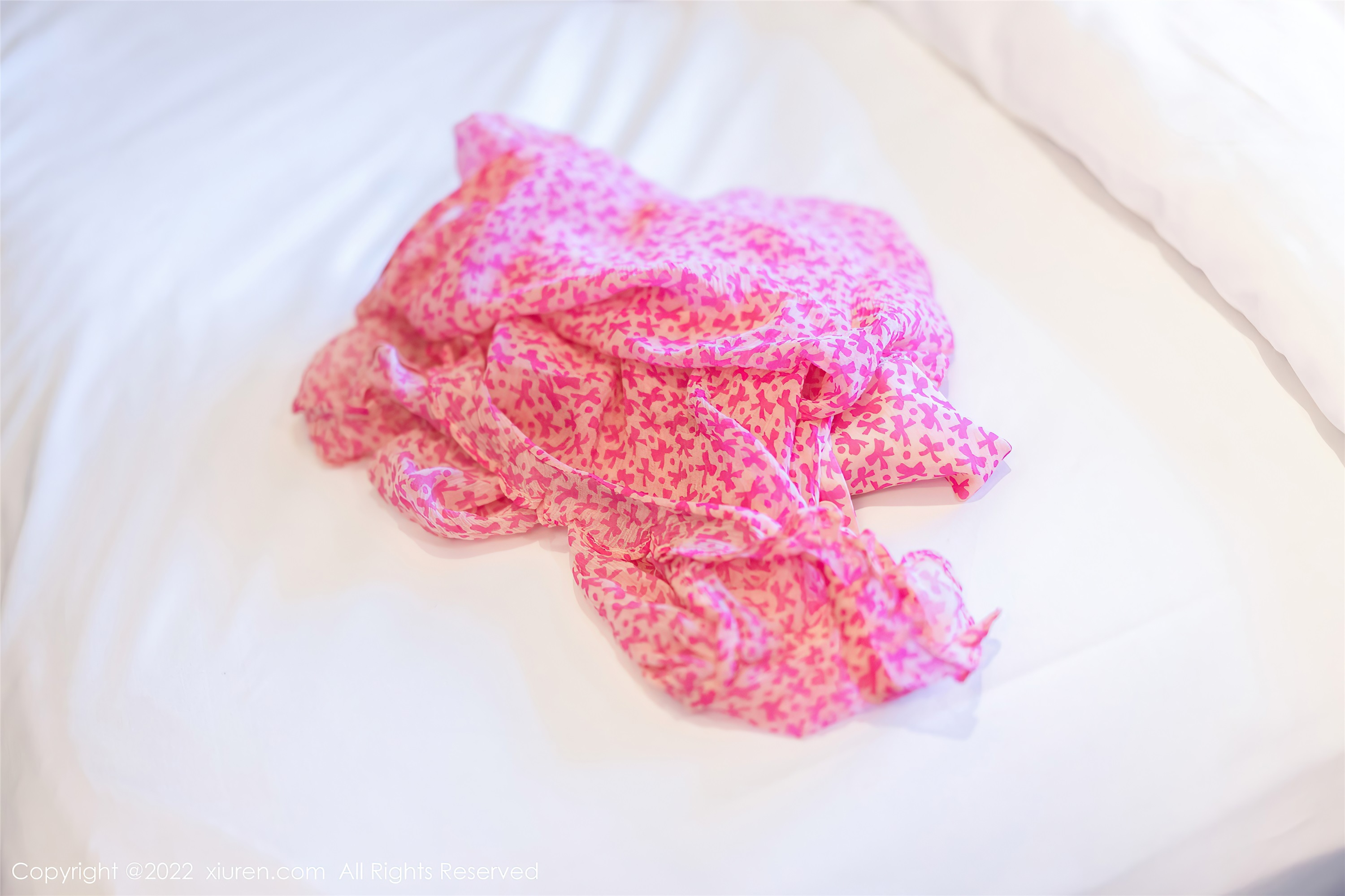 Xiuren秀人网 2022.08.24 NO.5488 张思允Nice